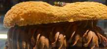 ECLAIR DE CHOCOLATE 